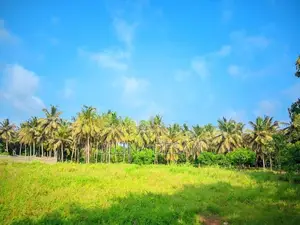 Land for Sale Thanthirimale