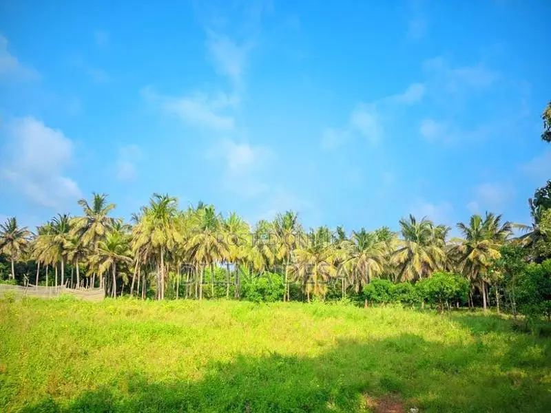 Land for Sale Thanthirimale