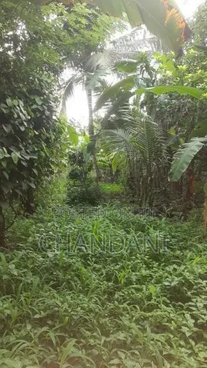 Land for Sale Kadawatha