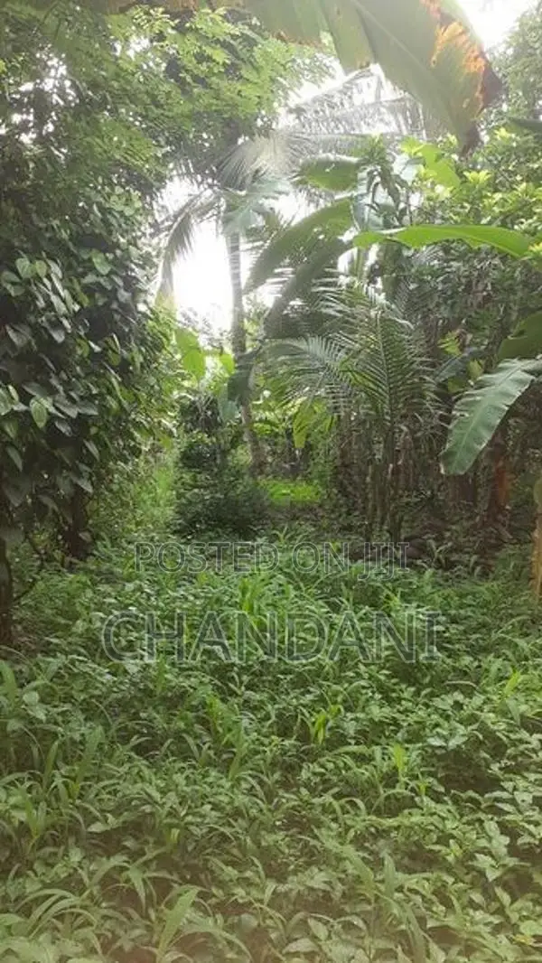 Land for Sale Kadawatha