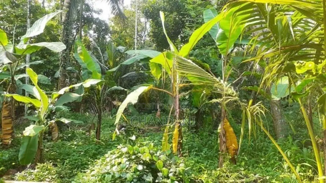 Land for Sale Kadawatha