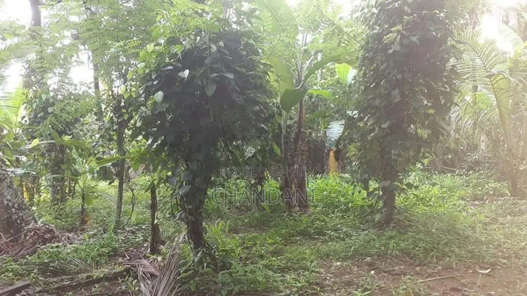 Land for Sale Kadawatha