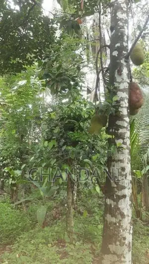 Land for Sale Kadawatha
