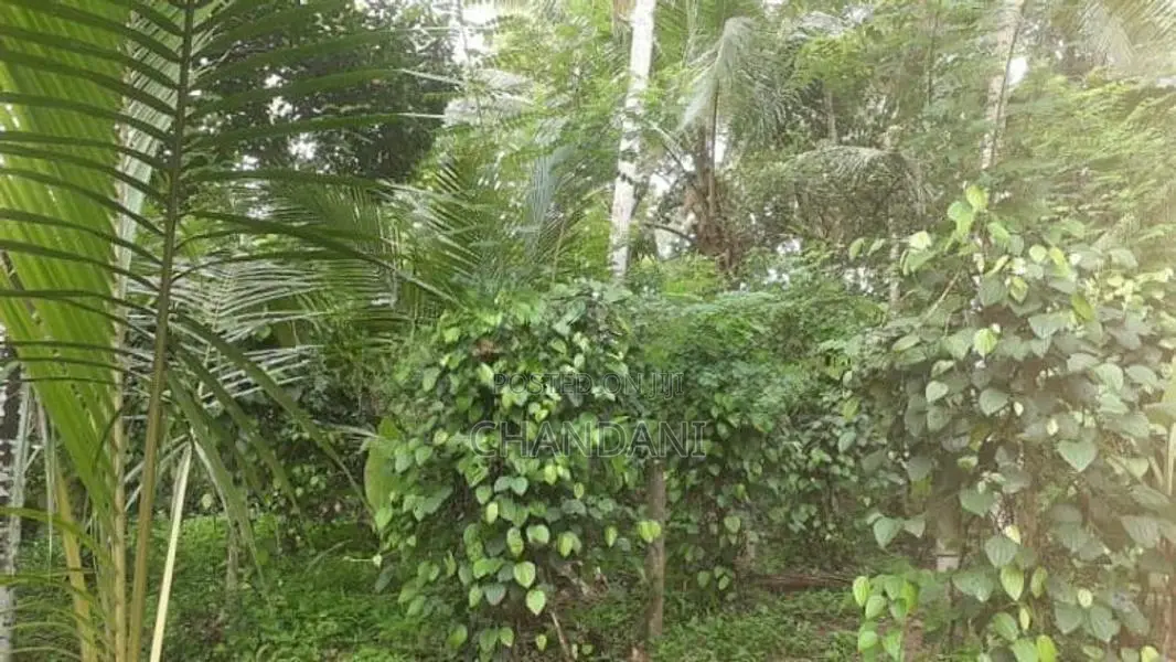 Land for Sale Kadawatha