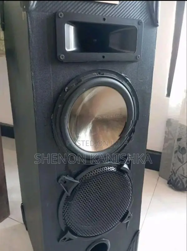 Bluetooth Karaoke Speaker