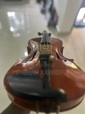 Violin