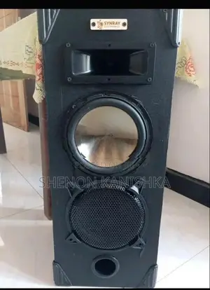 Bluetooth Karaoke Speaker