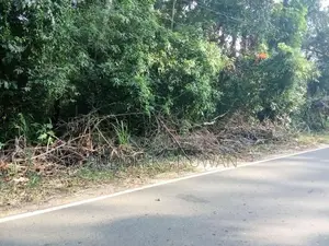 Land Sale in Monaragala