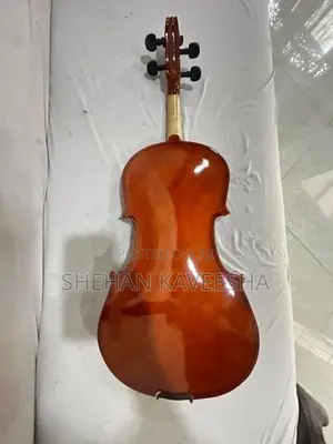 Violin