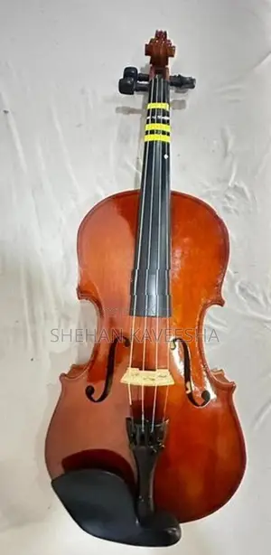 Violin
