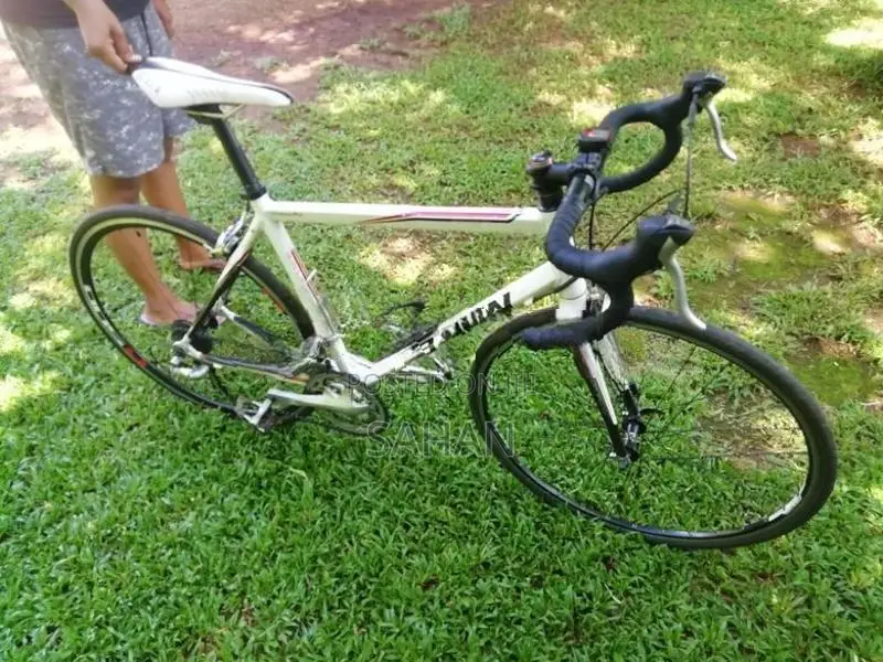 Racing Cycle