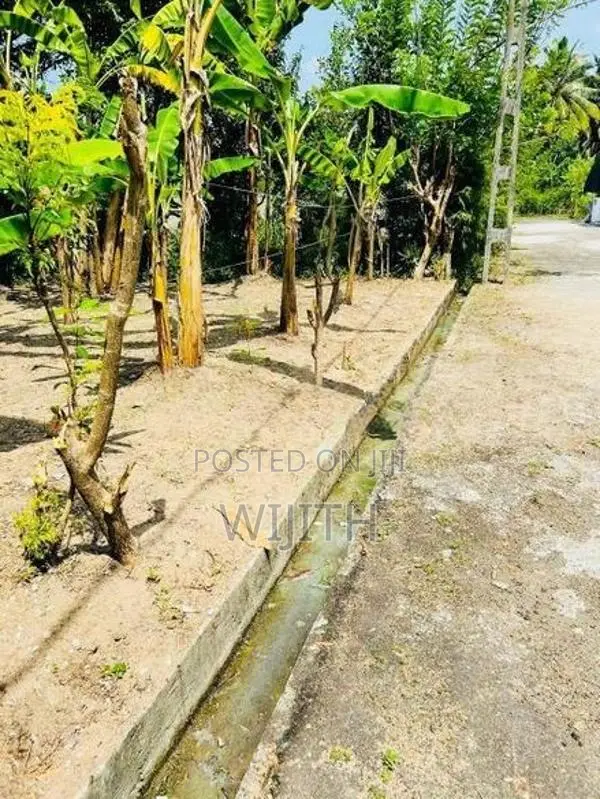ඉඩමි කෑබෑල්ලක් විකිනිමට කොටිටාව රෑක්මල්ගම පාසල් මාවත