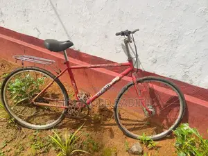 Japan Bicycle