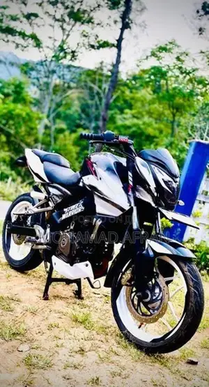Bajaj Pulsar NS200 2013
