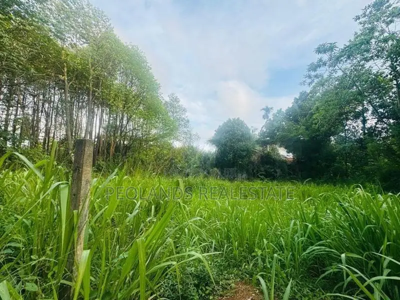 (RL582) 25.5 Perch Land for Sale in Panadura