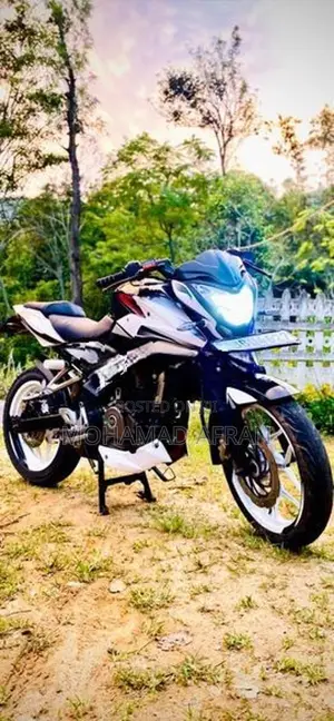 Bajaj Pulsar NS200 2013