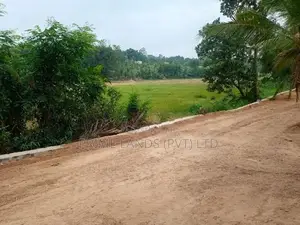 කඩවත වෑබඩ බිම්කොටස්