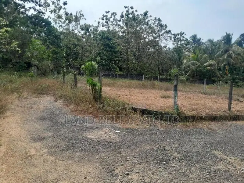High-Level Road Meepa Land for Sale