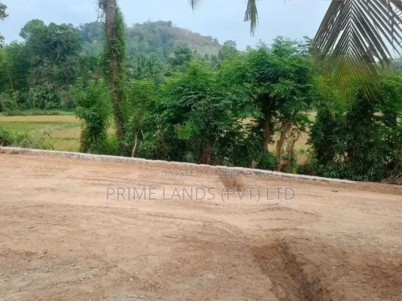 කඩවත වෑබඩ බිම්කොටස්