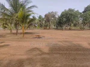 නාච්චාදූව නගරයෙන්ම සුන්දර වටපිටාවකින් අගනා බිම්කොටස්