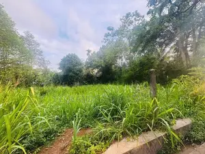 (RL582) 25.5 Perch Land for Sale in Panadura