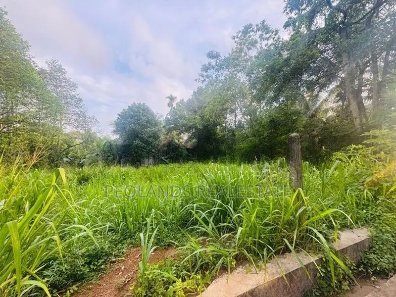 (RL582) 25.5 Perch Land for Sale in Panadura