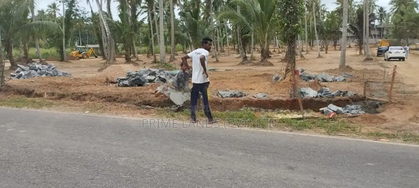 නයිවල බිම්කොටස්