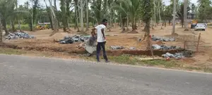 නයිවල බිම්කොටස්