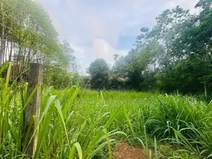 (RL582) 25.5 Perch Land for Sale in Panadura