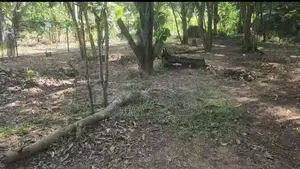 Land for Sale in Dambulla