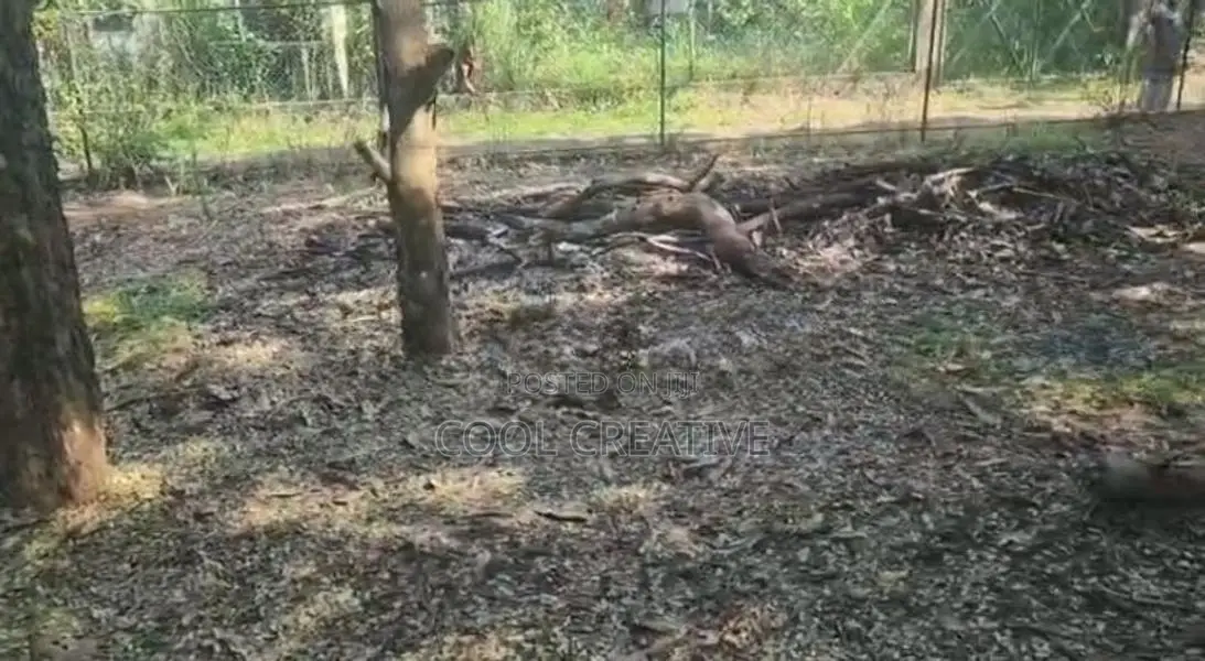 Land for Sale in Dambulla