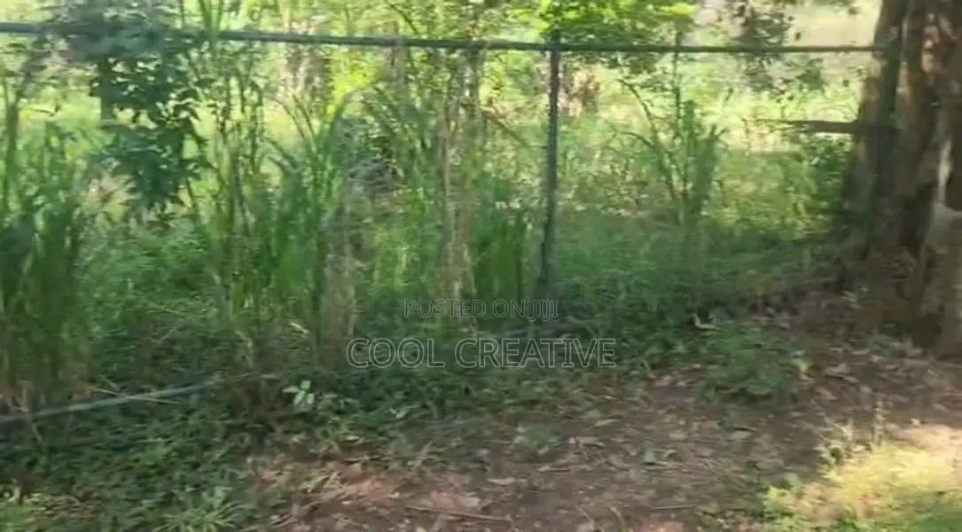 Land for Sale in Dambulla