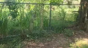 Land for Sale in Dambulla