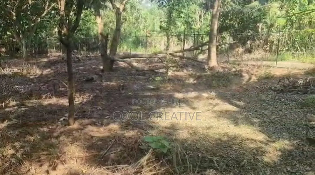 Land for Sale in Dambulla