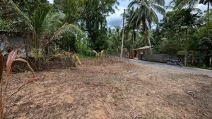 කාපට් පාරට මුහුණලා පර්චස් 48 ක වටිනා ඉඩම විකිණීමට ඌරාපොල