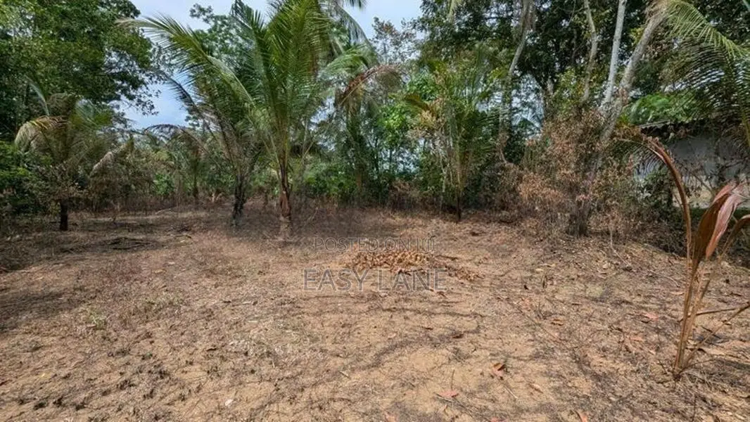 කාපට් පාරට මුහුණලා පර්චස් 48 ක වටිනා ඉඩම විකිණීමට ඌරාපොල