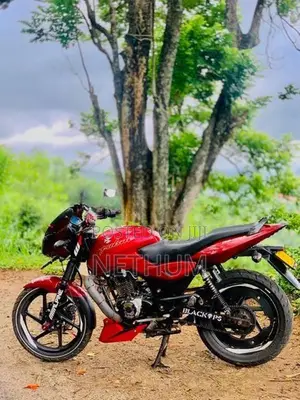 Bajaj Pulsar 150 2009