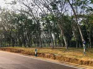 Land for Sale in Kananvila