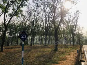 Land for Sale in Kananvila