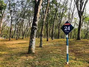 හොරන මහරගම පාරට ළගම හොද ඉඩම
