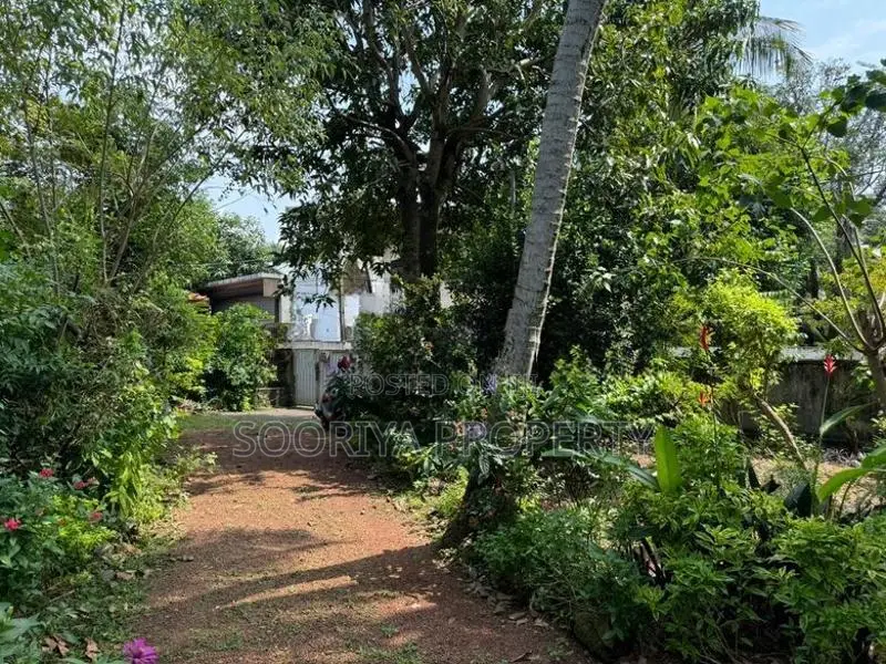 Highly Residential Land for Sale in Dehiwala