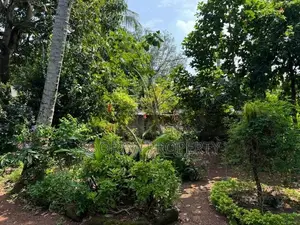 Highly Residential Land for Sale in Dehiwala