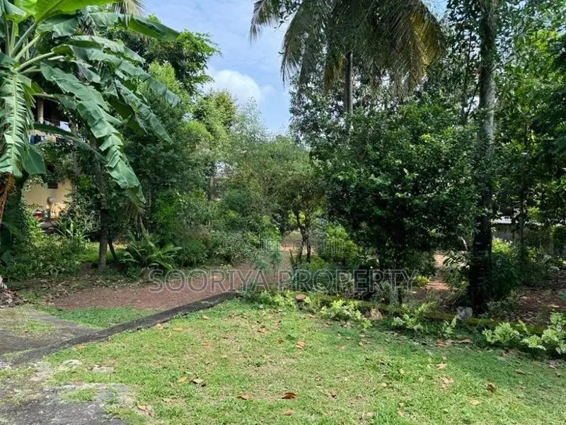 Highly Residential Land for Sale in Dehiwala