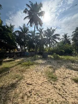 காணி விற்பனைக்கு Akkaraipattu