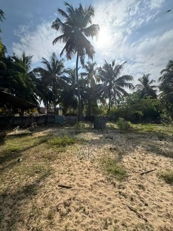 காணி விற்பனைக்கு Akkaraipattu