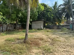 காணி விற்பனைக்கு Akkaraipattu