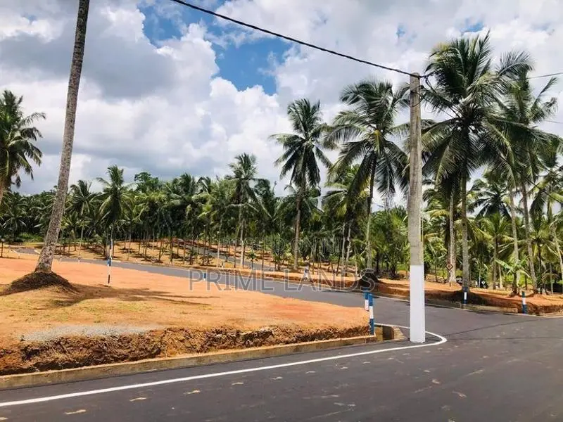 කිරිවත්තුඩුව හන්දියෙන් බිම් කොටස්