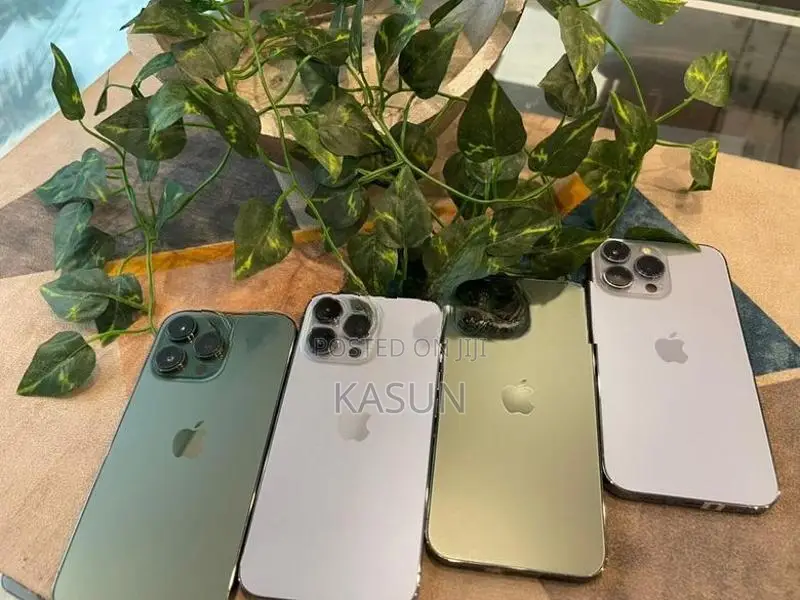 Apple iPhone 13 Pro 256GB (Used)