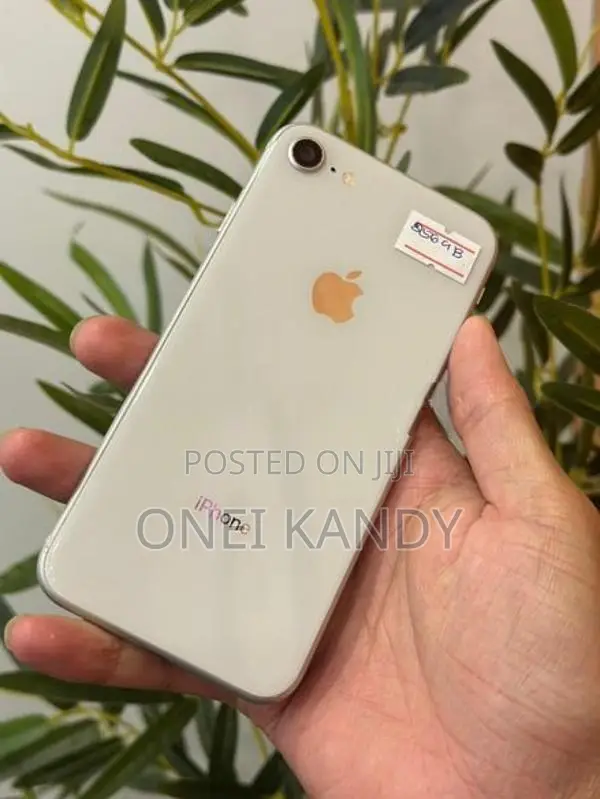 Apple iPhone 8 256GB (Used)