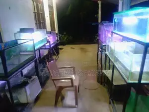 Fish Tank